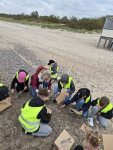 STREAM veikla 3c klasėje – nuotrauka