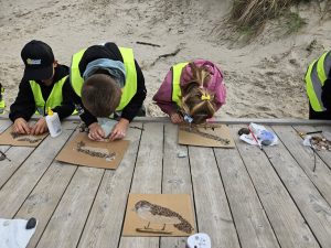 STREAM veikla 3c klasėje – nuotrauka