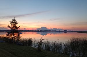 Lietaus balutėse – netikėti atradimai – nuotrauka