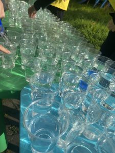 „Žvaigždučių vilties bėgimas“ – diena, kai gerumas sujungia širdis! – nuotrauka