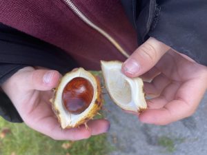 2c klasės tikybos pamoka kitose erdvėse – kodėl esu ypatingas? – nuotrauka